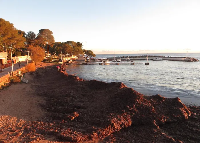 Chez Michele Et Vincent * Saint-Raphael (Var)